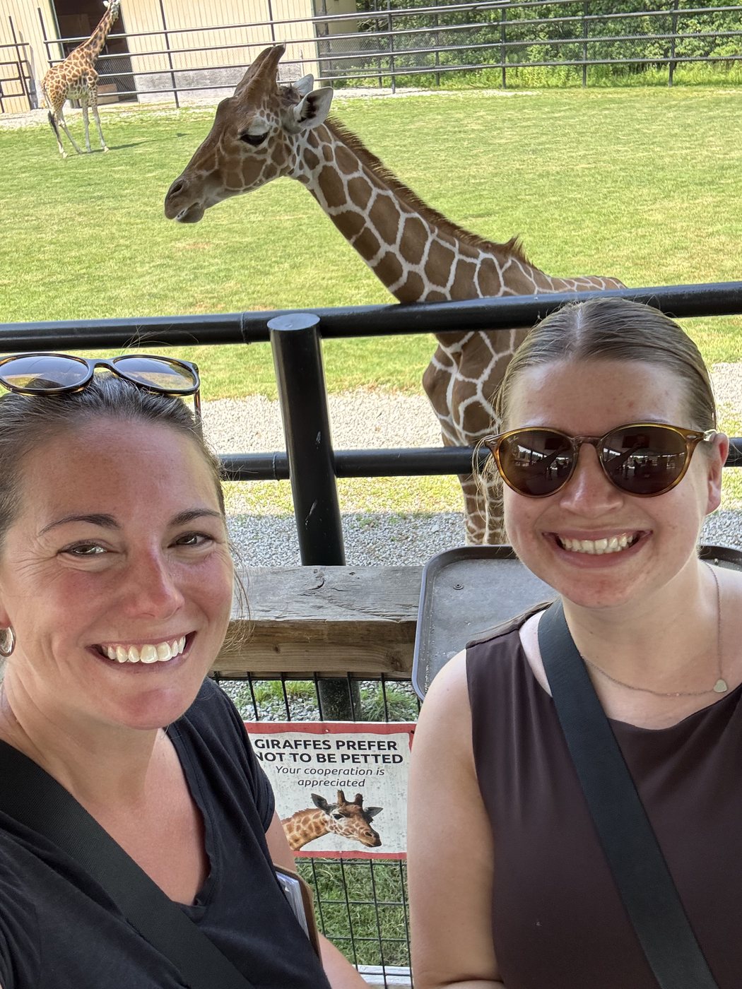 Behind the scenes on the additional shoot day: two of the crew on the giraffe feeding deck at Safari Niagara, a giraffe leaning over the rail behind them.