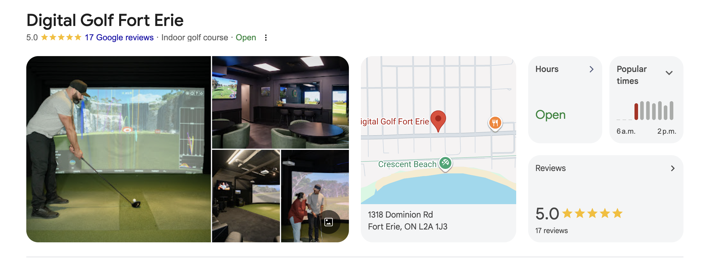 Crop of the Digital Golf Fort Erie Google profile showing reviews.